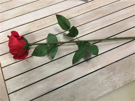 Rode zijden rozen (imitatie) - 4