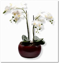Kunst orchidee met Cresta donkerrood pot