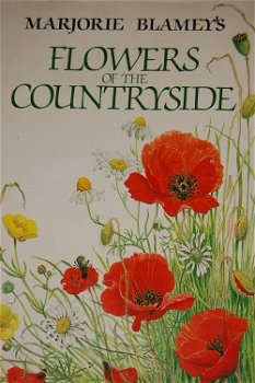 Marjorie Blamey's Flowers of the countryside - 0