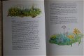 Marjorie Blamey's Flowers of the countryside - 1 - Thumbnail