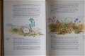 Marjorie Blamey's Flowers of the countryside - 2 - Thumbnail