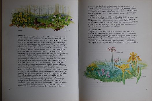 Marjorie Blamey's Flowers of the countryside - 4