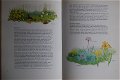 Marjorie Blamey's Flowers of the countryside - 4 - Thumbnail