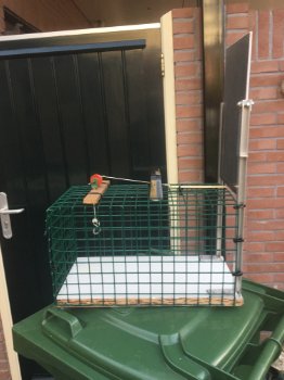 Mooie vangkooi voor kleine dieren - 0