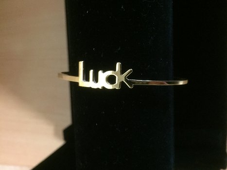 Stainless steel armband Luck goud - 0