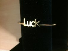 Stainless steel armband Luck goud