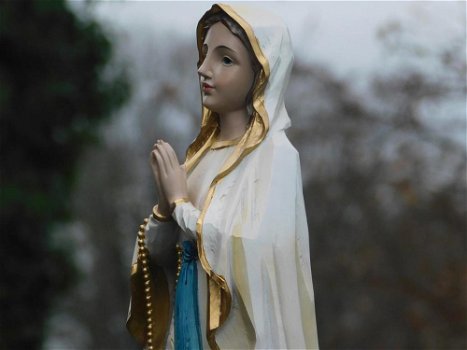 maria met rozenkrans , heilige Maria beeld - 0