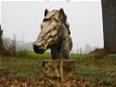 paardenhoofd,paard,landleven - 0 - Thumbnail