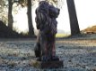 stattige leeuwen , tuinbeeld leeuw - 3 - Thumbnail