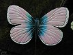 kapstok van een vlinder - 3 - Thumbnail