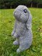 konijn , stenen tuinbeeld ,staand konijn - 0 - Thumbnail