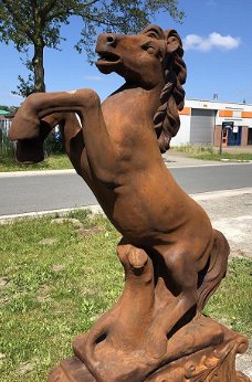 tuinbeeld ,Steigerend paard