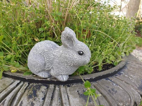 konijn,beeld van schattig klein konijntje - 0