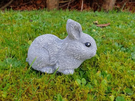 konijn,beeld van schattig klein konijntje - 4