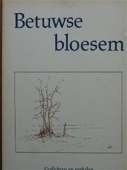 Betuwse Bloesem - 0