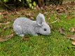 konijn,beeld van een snuffelend konijn - 0 - Thumbnail