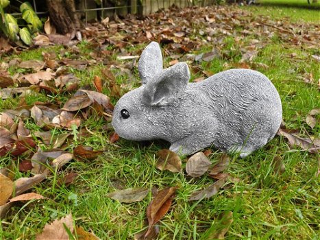 konijn,beeld van een snuffelend konijn - 1