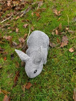 konijn,beeld van een snuffelend konijn - 2