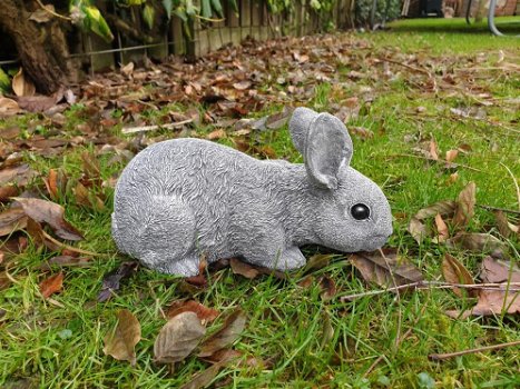 konijn,beeld van een snuffelend konijn - 3