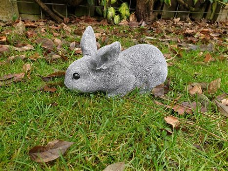 konijn,beeld van een snuffelend konijn - 6