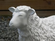 tuinbeeld van een lam , lam,schaap