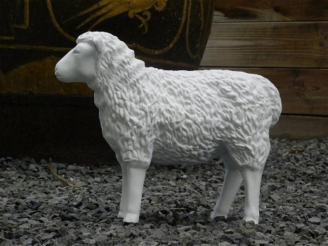 tuinbeeld van een lam , lam,schaap - 4