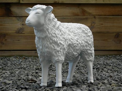tuinbeeld van een lam , lam,schaap - 5