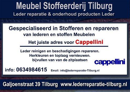 Cappellini Leder reparatie en Stoffeerderij Zitmeubelen Tilburg Galjoenstraat 39 - 0