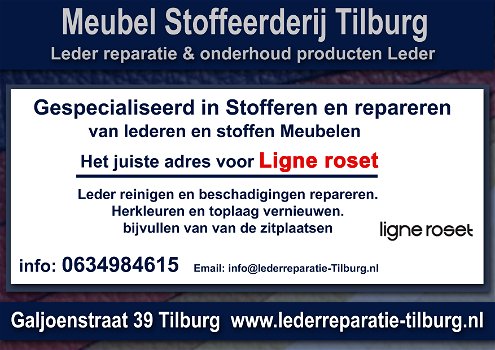 Ligne Roset Leder reparatie en Stoffeerderij Zitmeubelen Tilburg Galjoenstraat 39 - 0