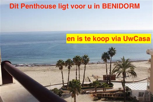 Uw eigen Penthouse in BENIDORM direct aan zee met garageplek en met - 0