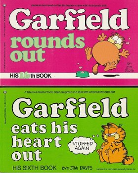 Garfield Oblong 16 Rounds out ( engels ) - 0