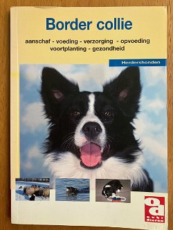 Over dieren: Border Collie