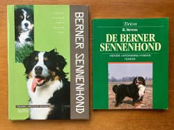 De Berner Sennenhond 2x