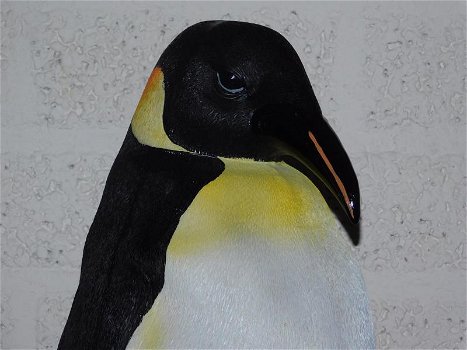 beeld van een Pinguïn - 1