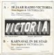 Yves Segers & Victoria DJ's – 10 Jaar Victoria (PIRAAT) - 0 - Thumbnail