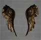 engel vleugels, kado - 0 - Thumbnail