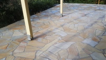 Albino Yellow flagstones * - 3