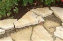 Bourgogne flagstones * - 5 - Thumbnail