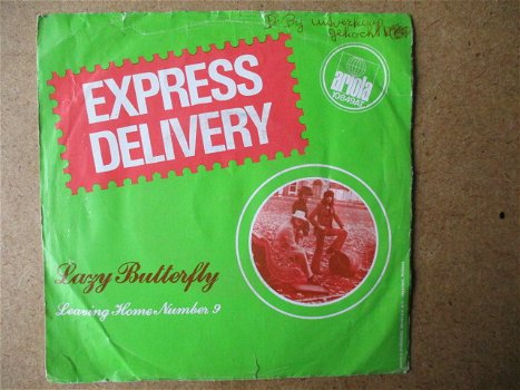 a5319 express delivery - lazy butterfly - 0