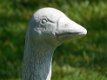 tuinbeeld Gans, gans - 2 - Thumbnail