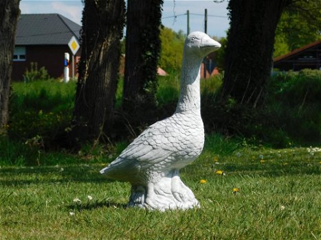 tuinbeeld Gans, gans - 3