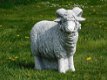 tuinbeeld,ram schaap - 0 - Thumbnail