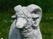 tuinbeeld,ram schaap - 1 - Thumbnail