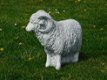 tuinbeeld,ram schaap - 2 - Thumbnail