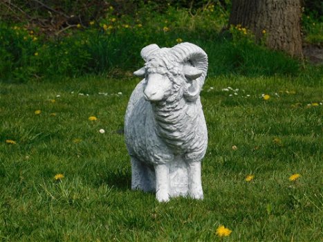 tuinbeeld,ram schaap - 5