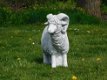 tuinbeeld,ram schaap - 5 - Thumbnail