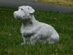 tuinbeeld , hond , kado - 0 - Thumbnail