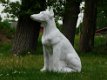 hazewindhond , tuinbeeld , hond - 0 - Thumbnail