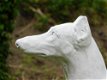 hazewindhond , tuinbeeld , hond - 2 - Thumbnail