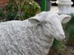 tuinbeeld , kado , schaap - 2 - Thumbnail